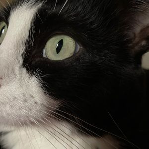 Meet your Posher, Marion